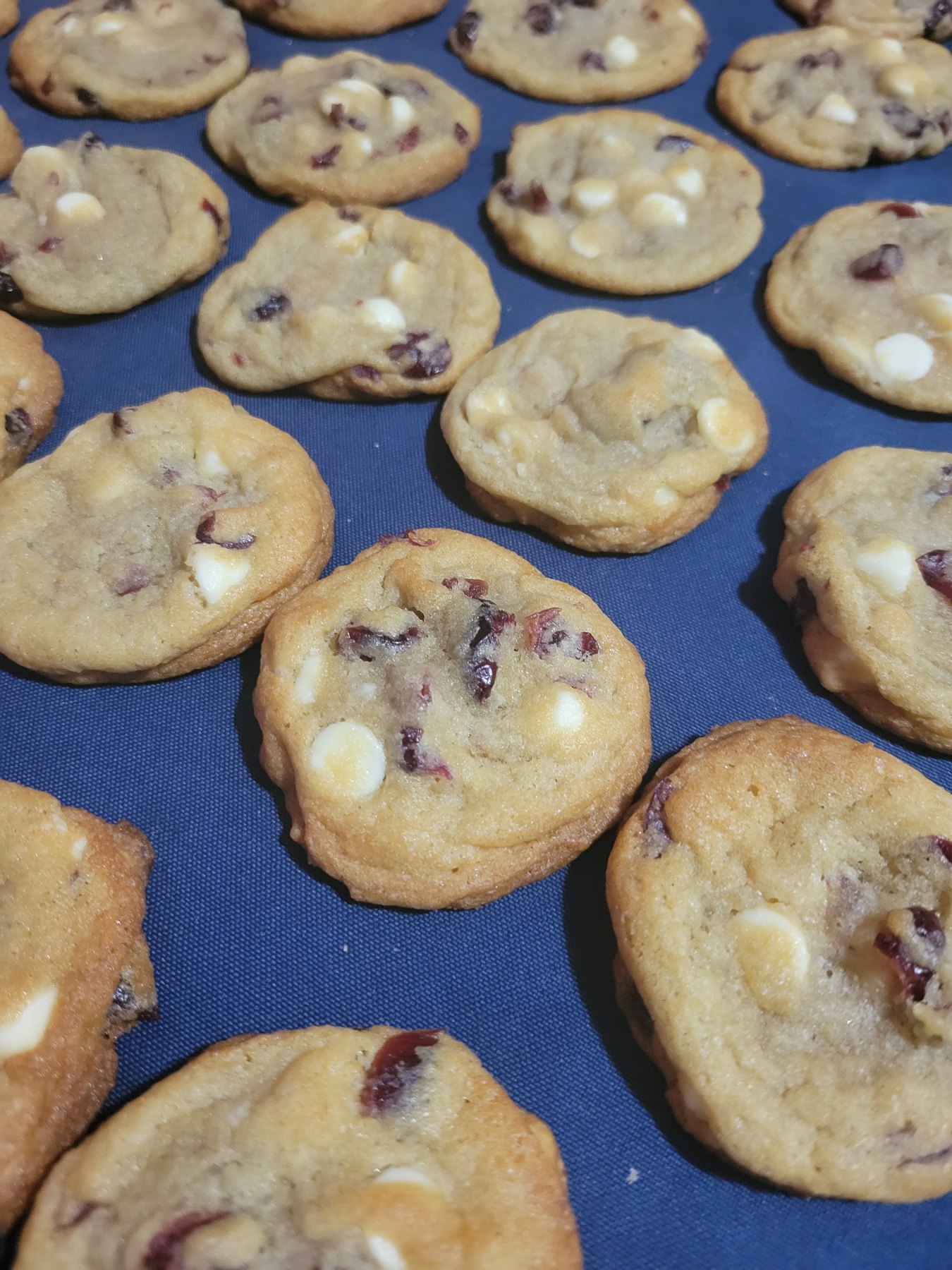 White Chocolate Cranberry