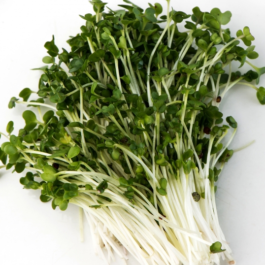 Broccoli